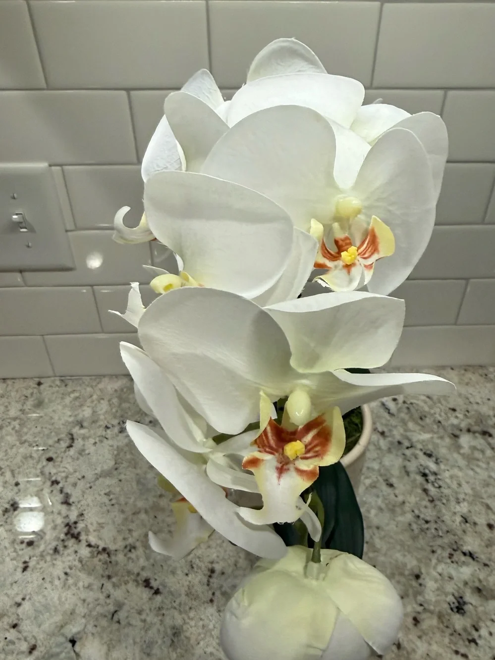 Threshold Tabletop Arrangement White Phalaenopsis Orchid Faux Plant in Cream Pot